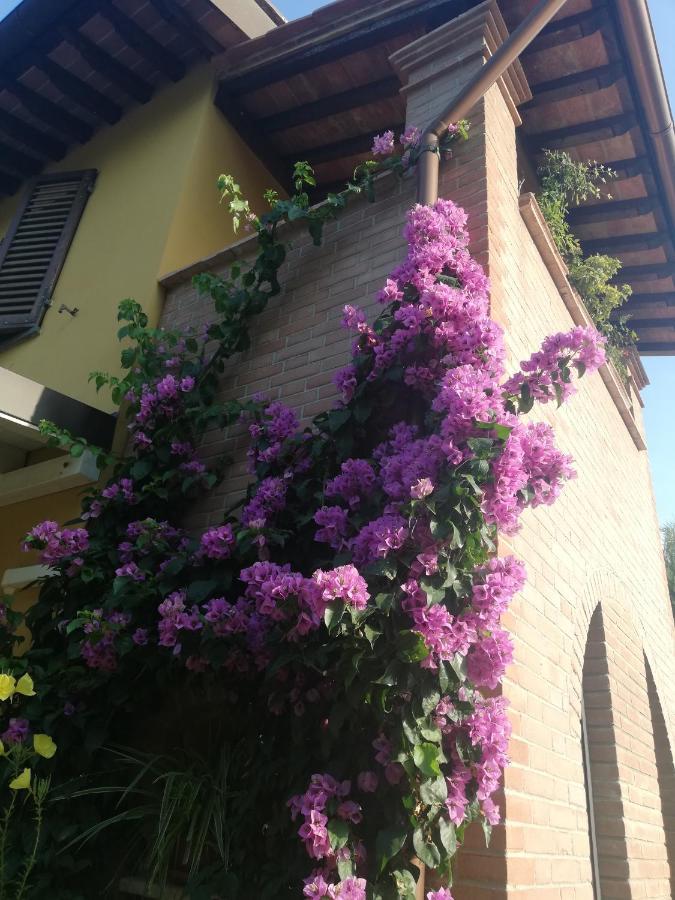Casolare Isabella "Il Rifugio Dei Vinili" And Alice'S Room Ponsacco Exteriér fotografie